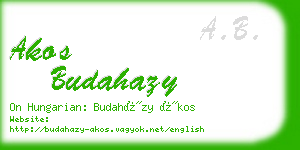 akos budahazy business card